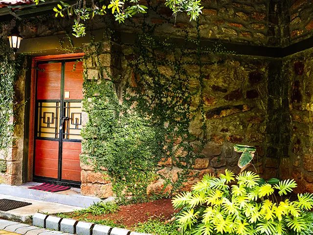 Saalugudda Resort
