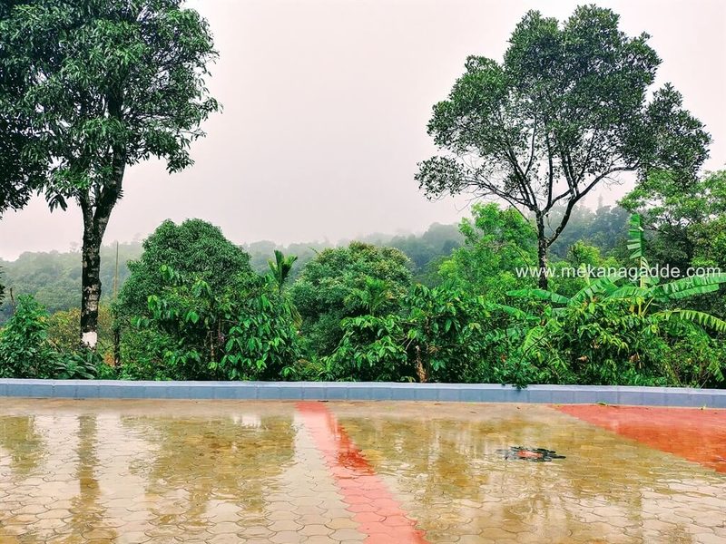 Mekanagadde Homestay