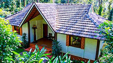 The Coffeebean Homestay