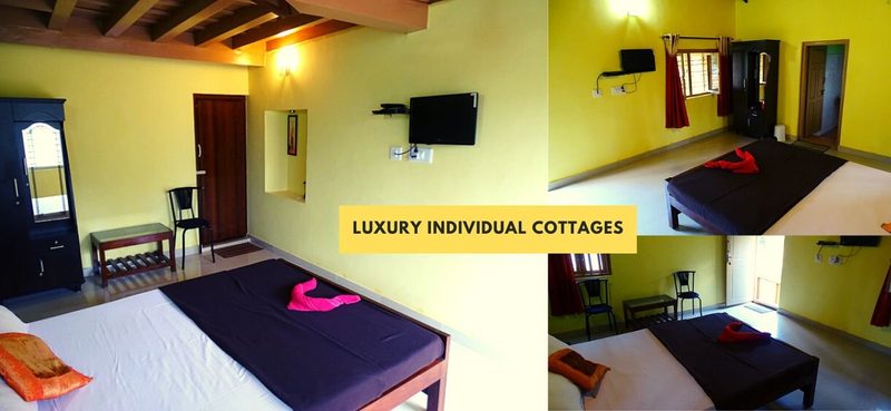 Coorg Coffee Camp Homestay