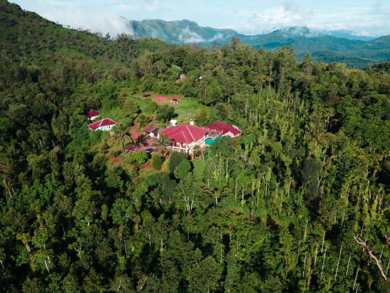 Megur Homestay
