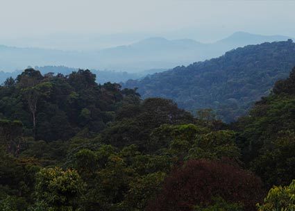 Amritasthanam Guest House & Retreat