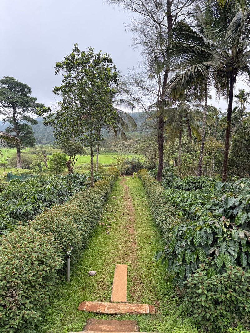Nammane Homestay