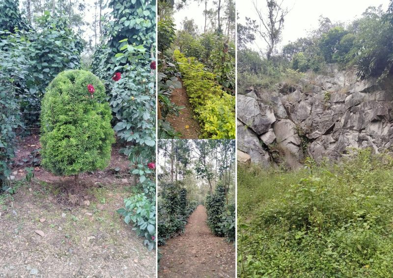 Chandanagiri Homestay