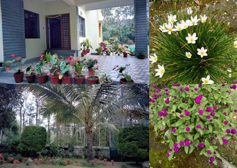 Chandanagiri Homestay