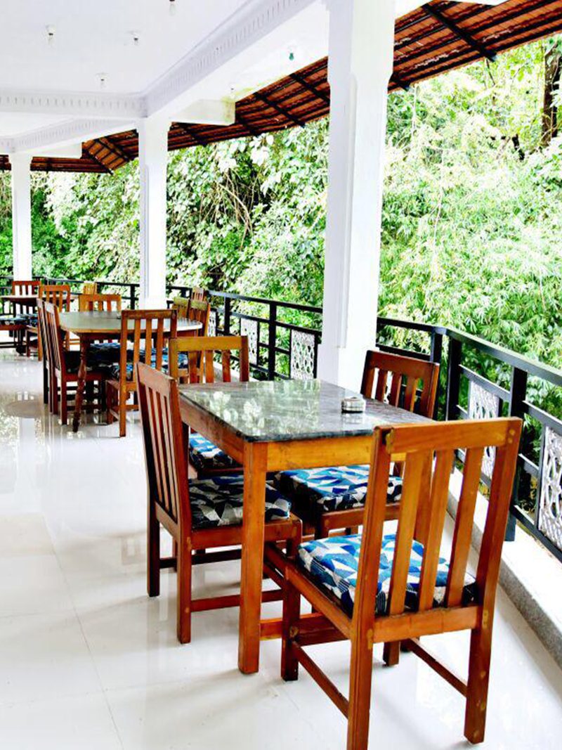The Coffee Tree Stays Coorg