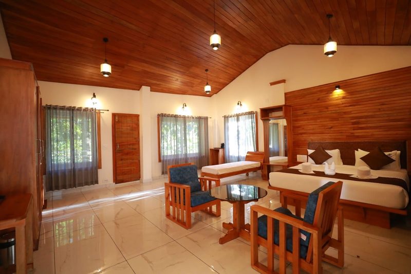 The Coffee Tree Stays Coorg