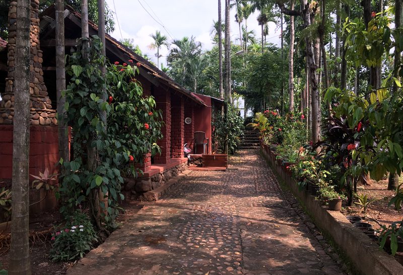 Valley Of Birds Homestay