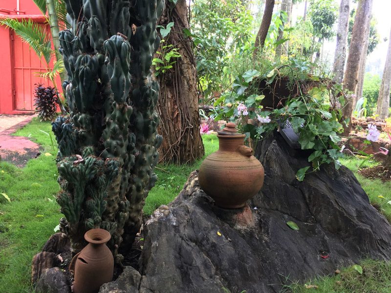 Valley Of Birds Homestay