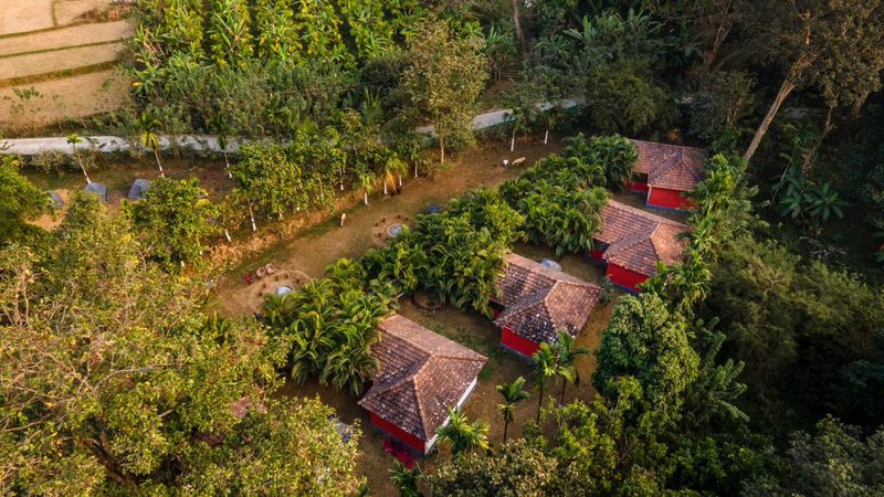 Jungle Nest Dandeli Resort