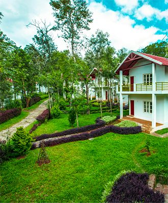 The Blossom Resort