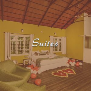 Terrace Rooms