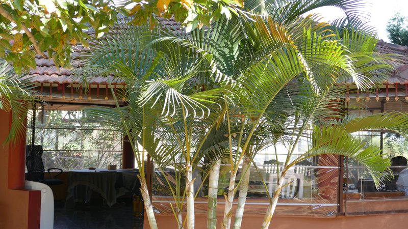 Kabini Lake View Resort