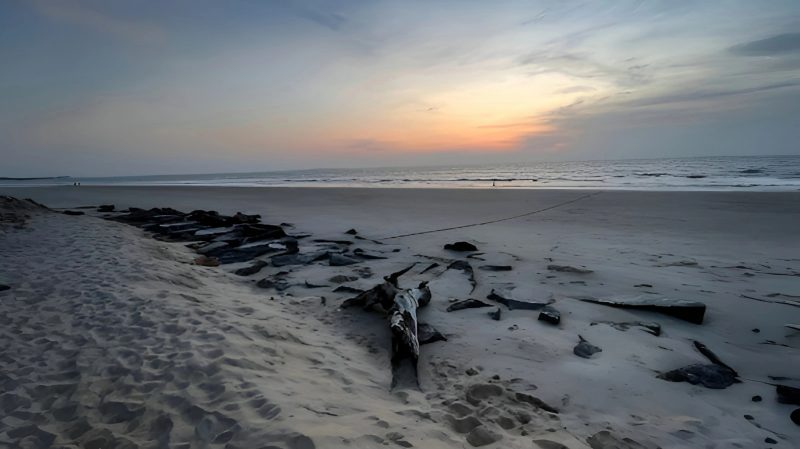 TAM-BoSa Beach Retreat