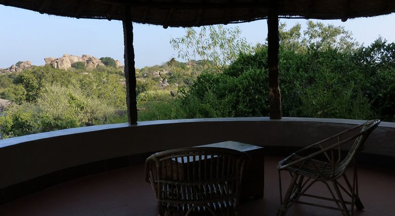 Turtle Cottage