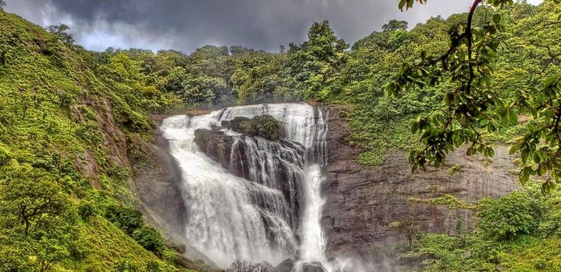 Dandeli Resorts