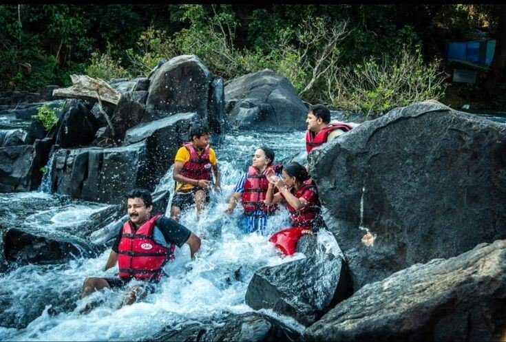 Wildernest Dandeli