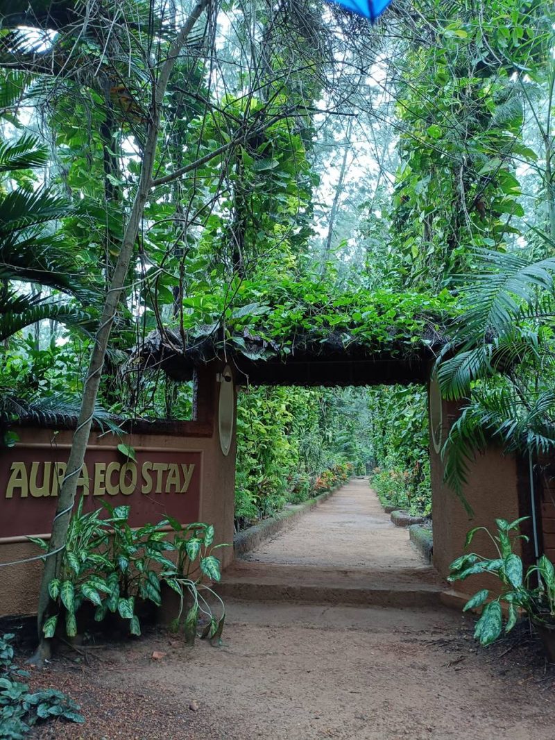 Aura Ecostay Resorts