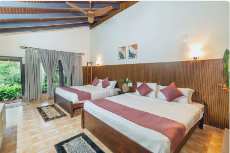 Tulip AC Cottage