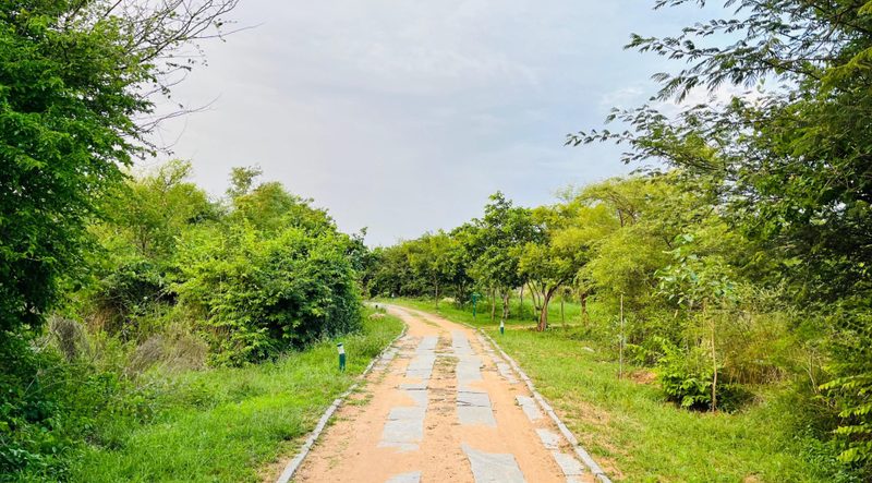 Hampi Heritage & Wilderness Resort
