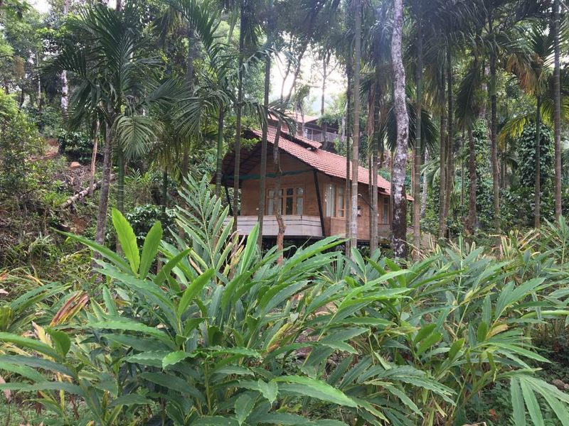 Wood Cottage