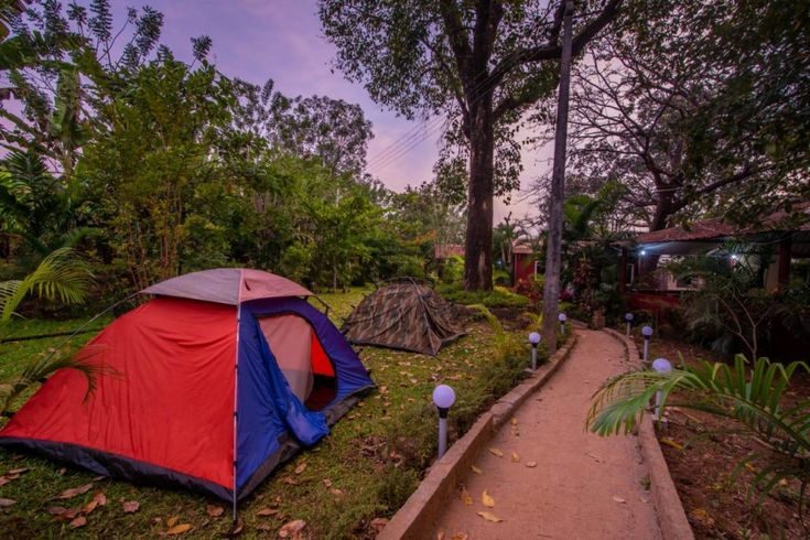 Camping Tents