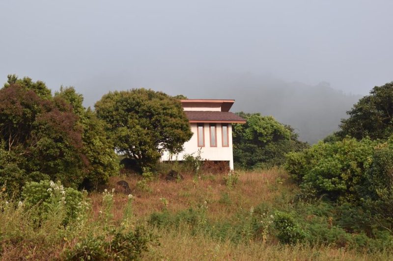 Elevated Cottage
