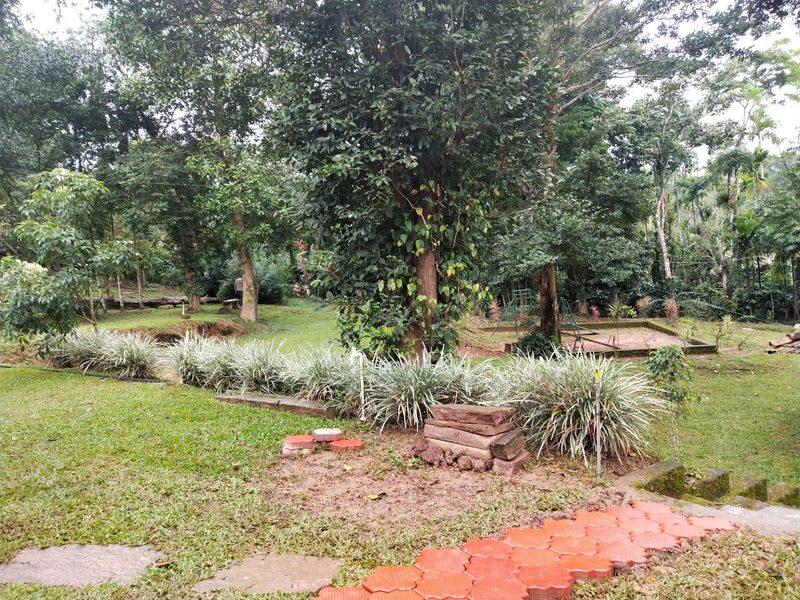 Bovera Orchards