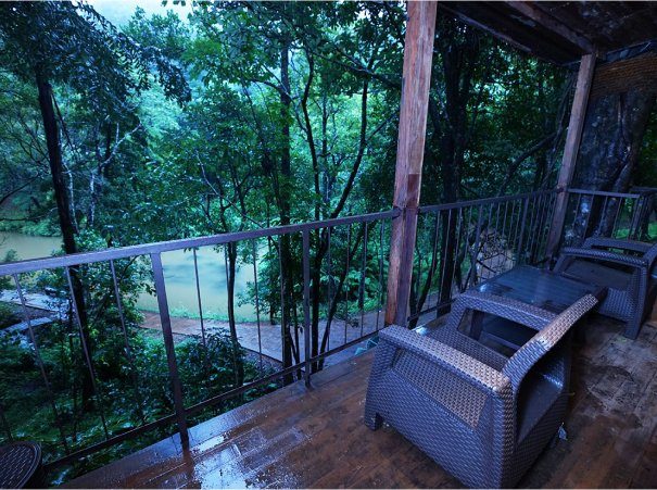 Tree house