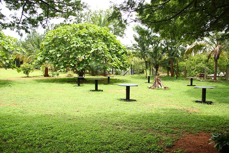 Vanaa – The Heritage Farm