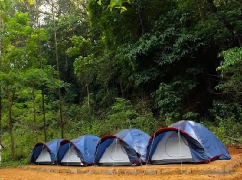 3 Member Tent