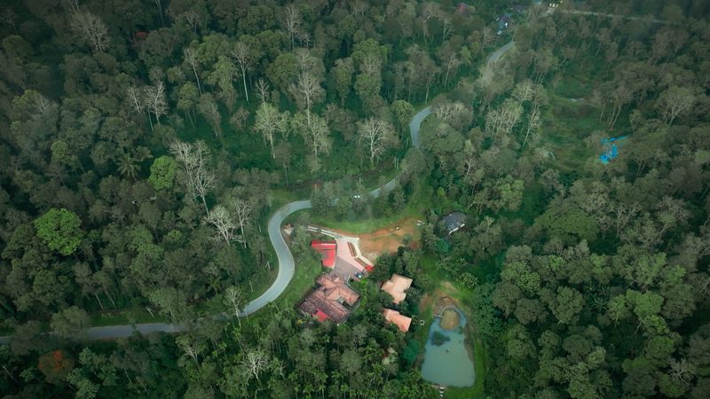 Mokha Grove