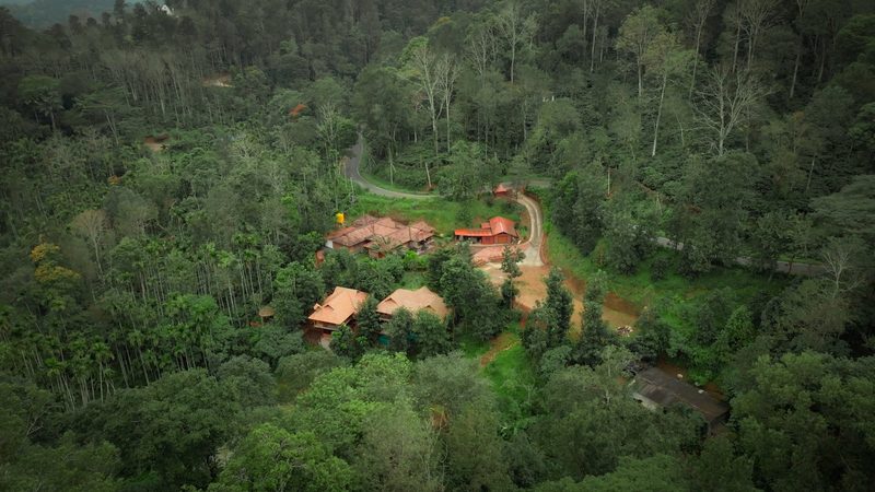 Mokha Grove