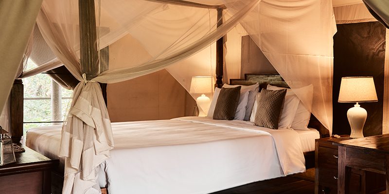 Private Bush Tents
