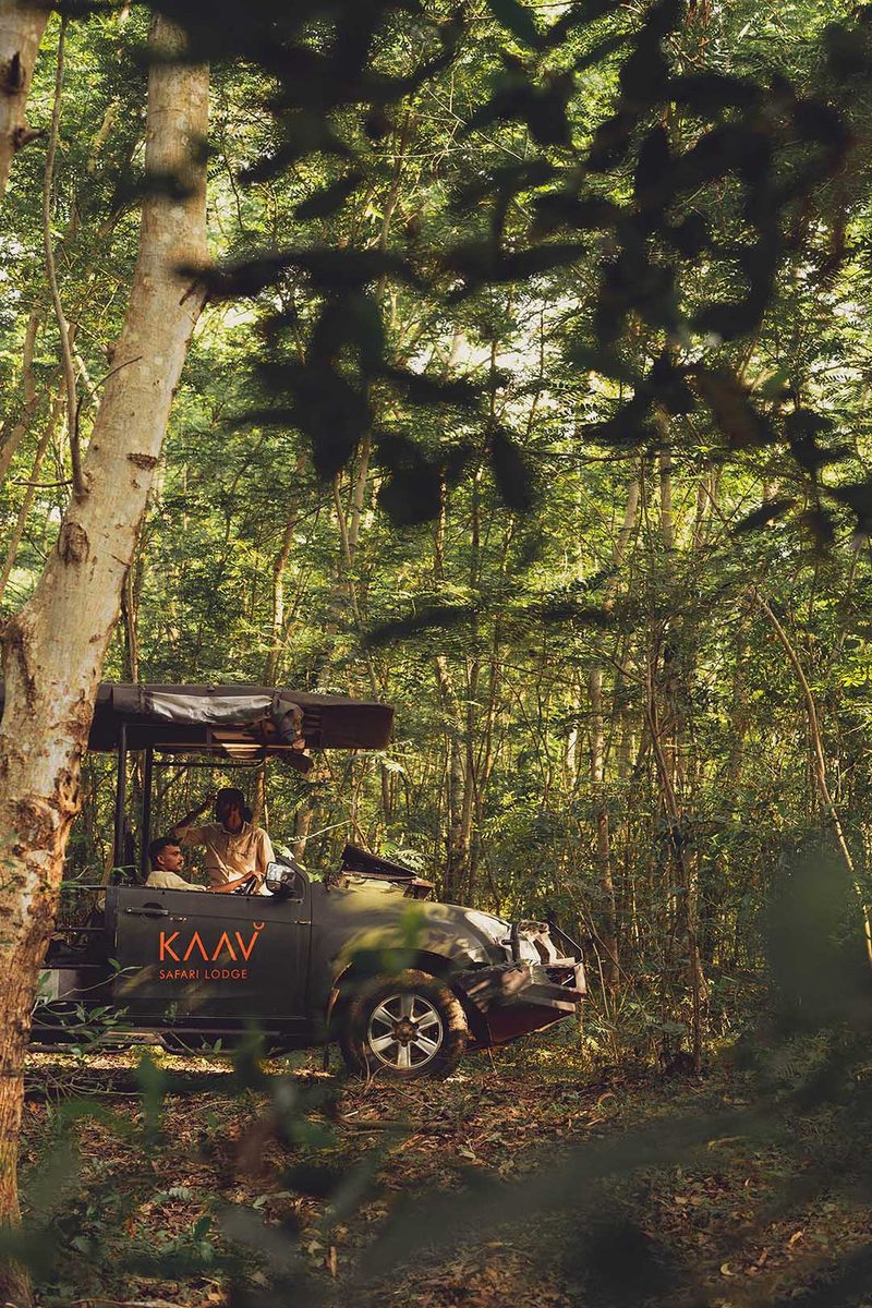Kaav Safari Lodge