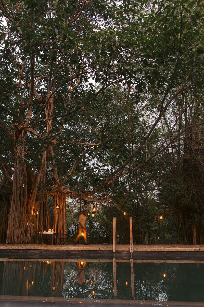 Kaav Safari Lodge