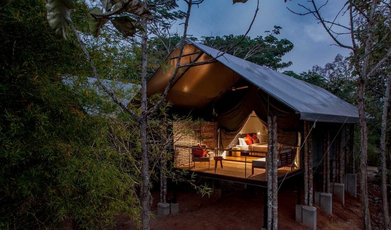 Luxury Tents