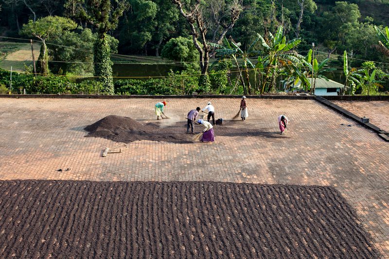 Siddhanta Manor