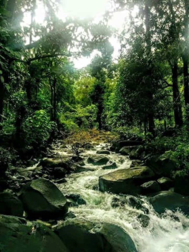Mala Nature Stay