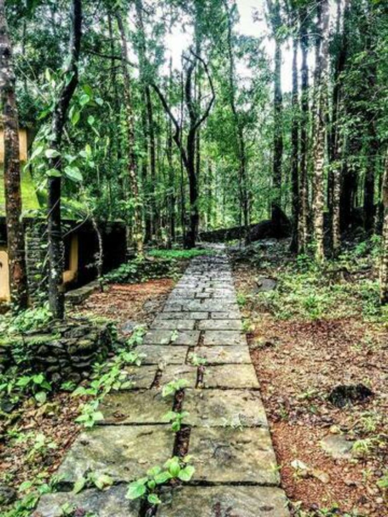 Mala Nature Stay