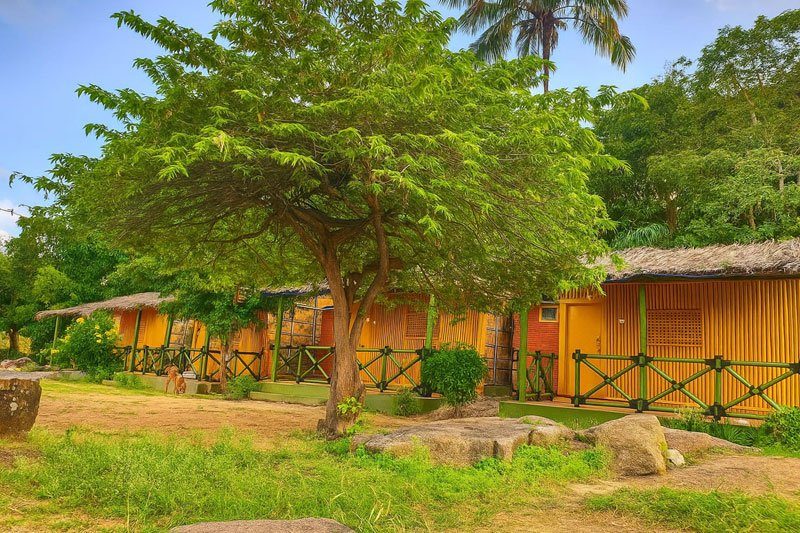 Gowri Nature Stay