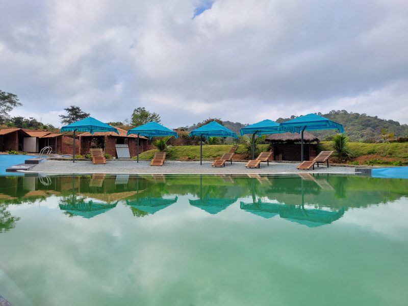 The Dandelion – Colonels' Jungle Resort