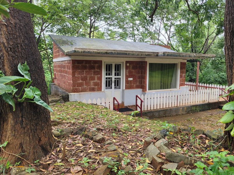 The Dandelion – Colonels' Jungle Resort