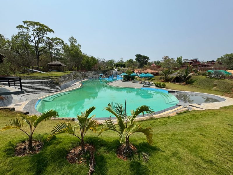 The Dandelion – Colonels' Jungle Resort