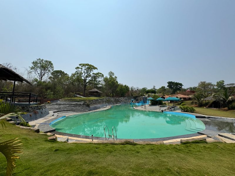 The Dandelion – Colonels' Jungle Resort