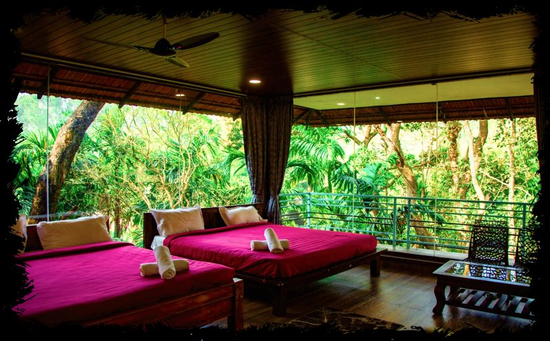 Tree-Inspired Stay