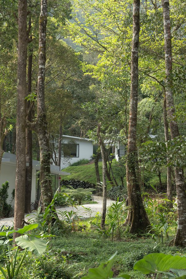 Luxury Eco Stay