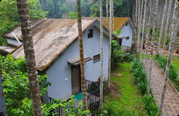 Nadi Mane Cottages