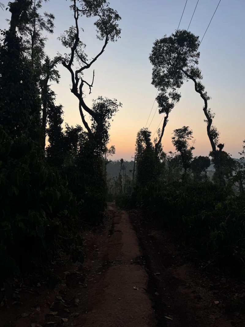 Nature's Abode