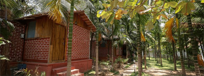 Non AC Wooden Cottage